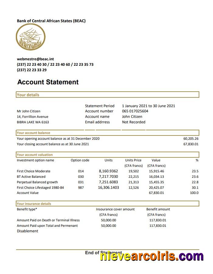 Central African Republic Bank of Central African States BEAC bank statement easy to fill in .xls and .pdf file format (AutoSum)